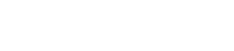 Canadian International School logo